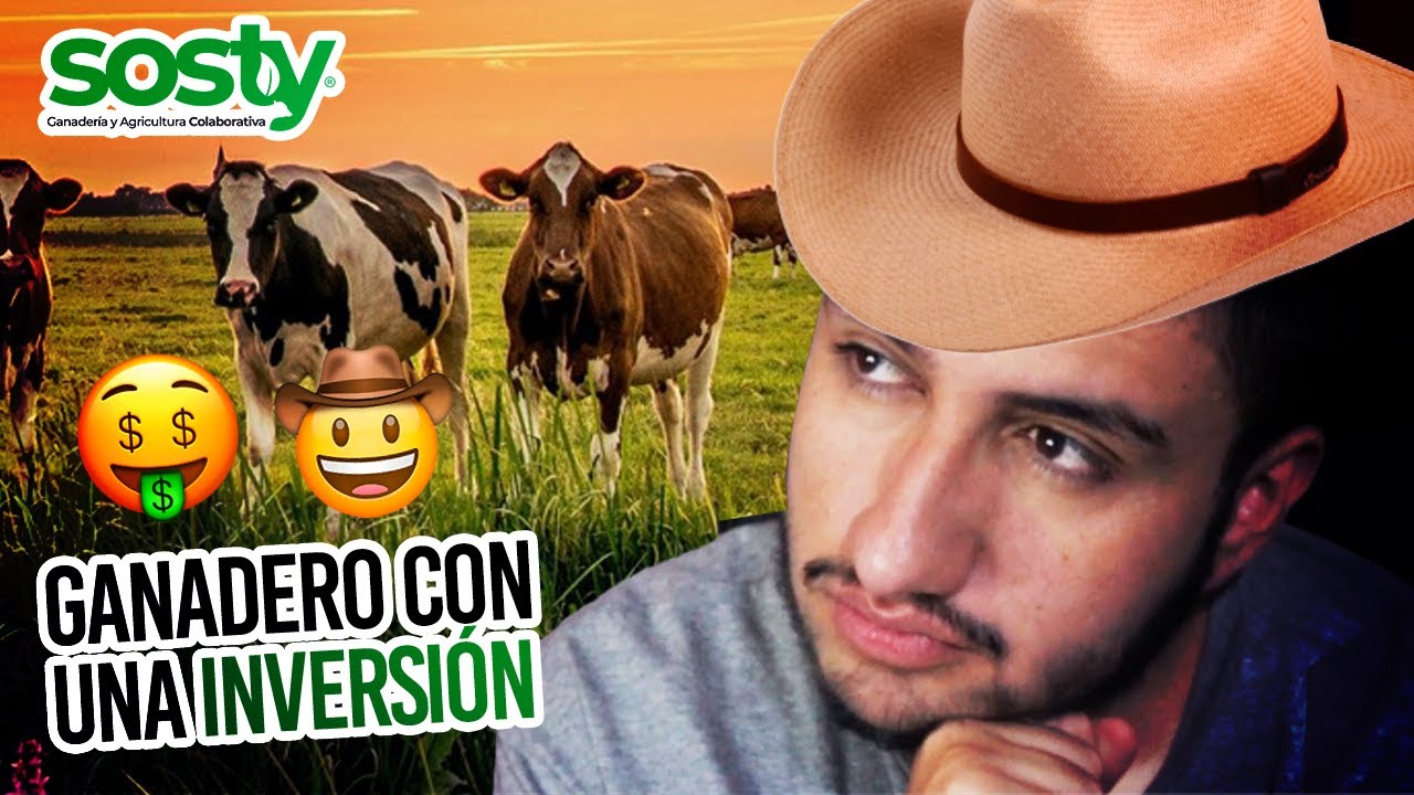 Dónde invertir en Colombia con poco dinero: plataformas de inversión en petróleo